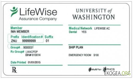 Carte d'assurance maladie d'entreprise LifeWise de l'Université de Washington aux États Unis